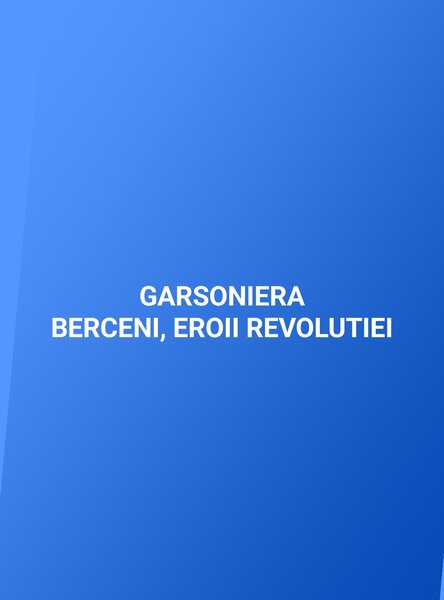 Berceni, Eroii Revolutiei,